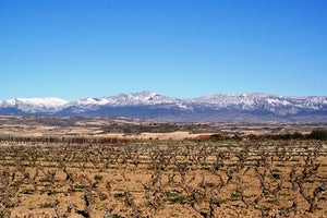 Area Profile : Rioja
