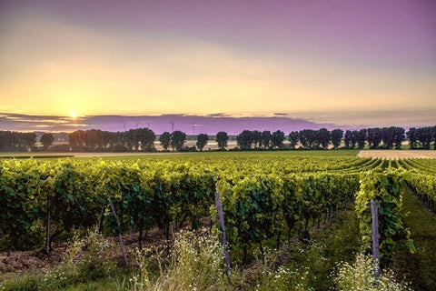 Wine Club Service, Quarterly Wine Case